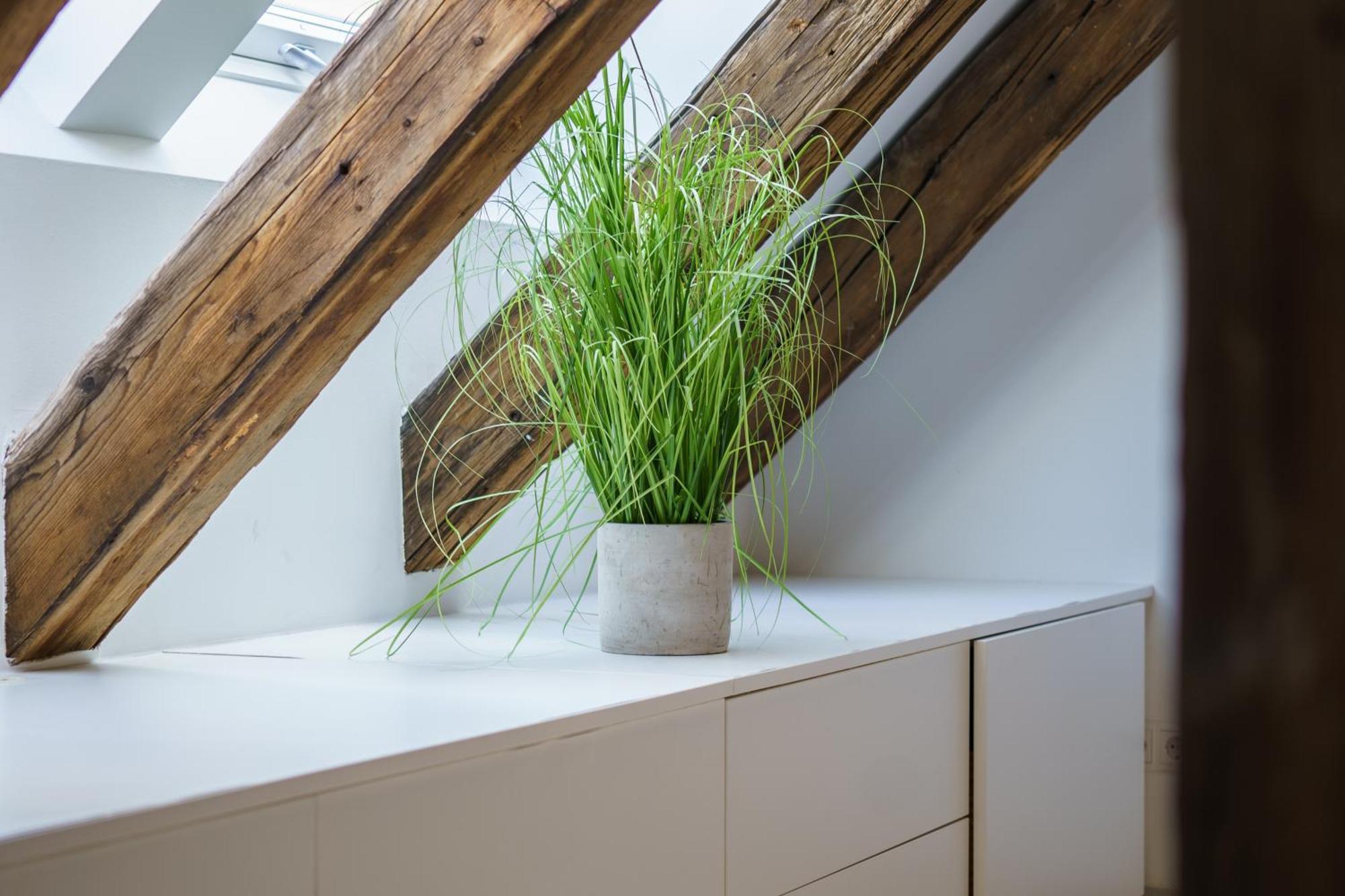 Central Living Apartments - Berggasse Wien Ngoại thất bức ảnh